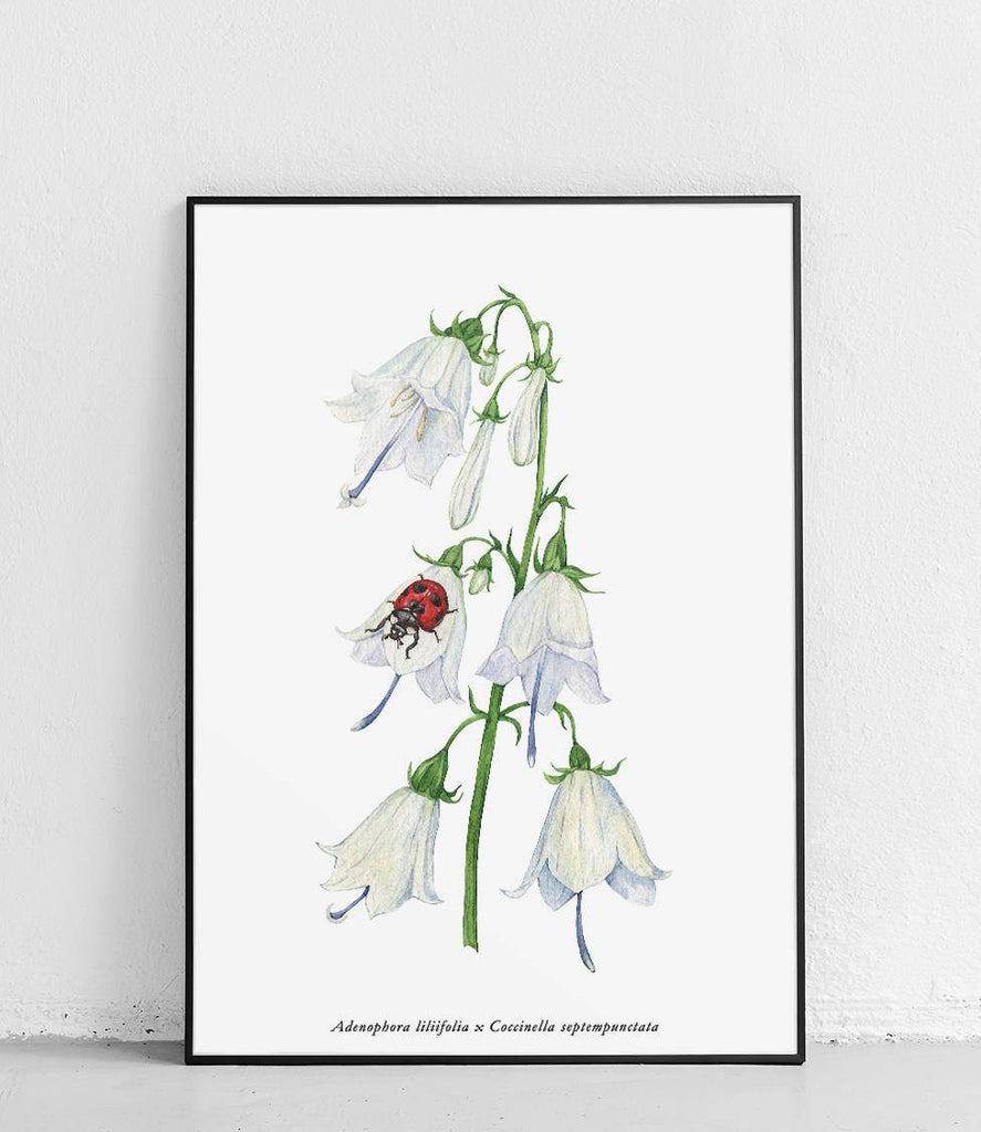 Bellflower and seven-dot ladybug - poster