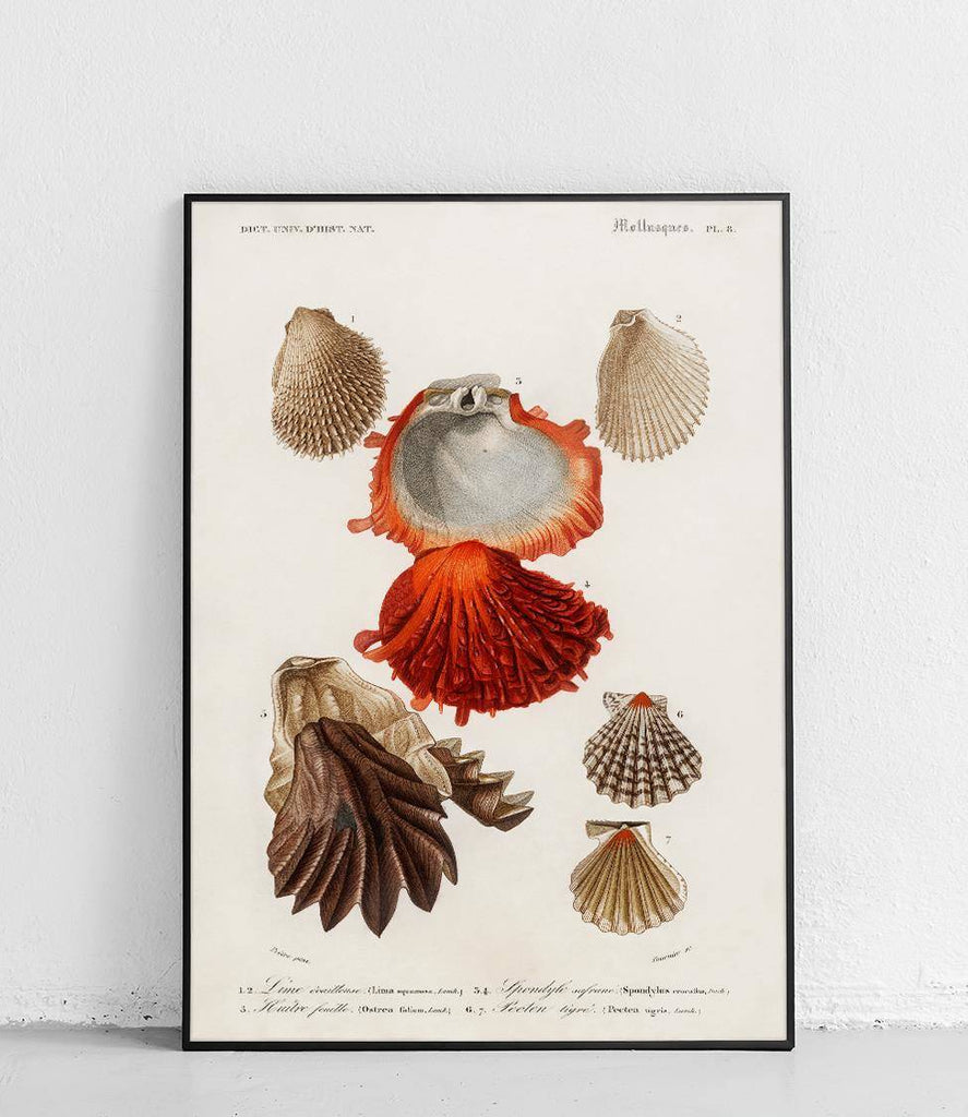 Mussels 2 - poster