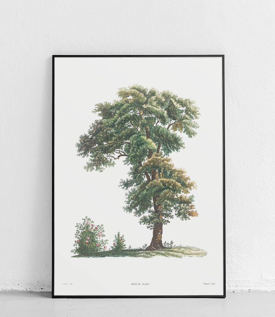 Tree - poster