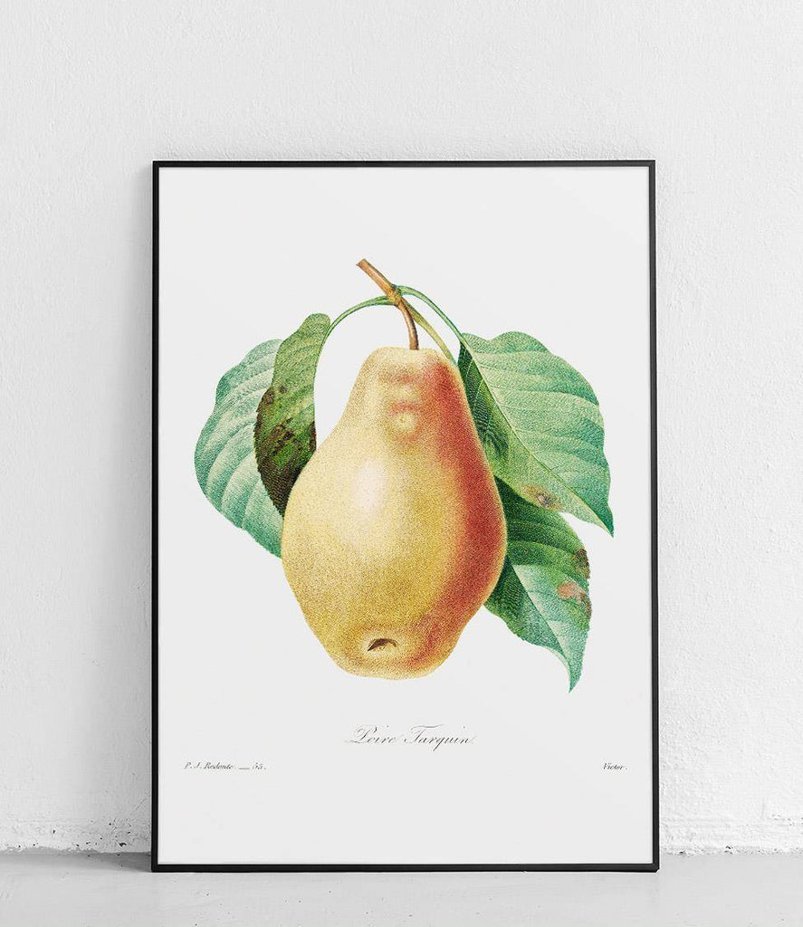 Pear tree - poster