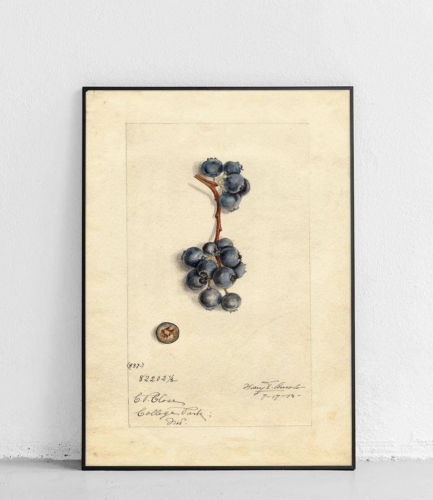 Blueberry - poster