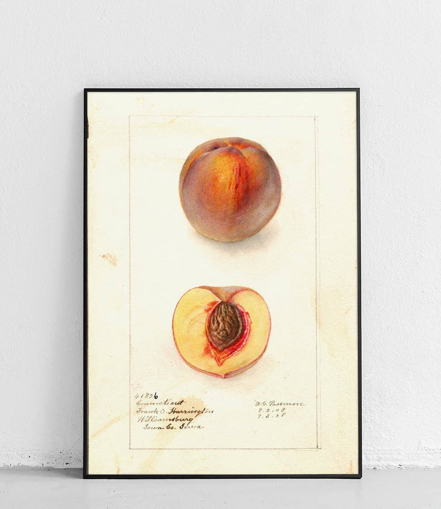 Peach 4 - poster