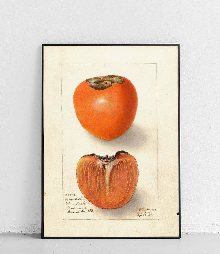 Persimmon - poster