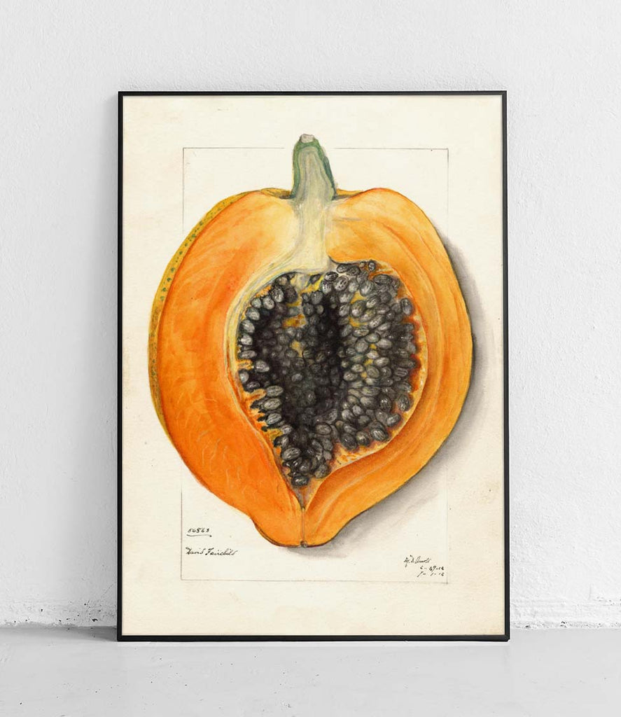 Papaya - poster