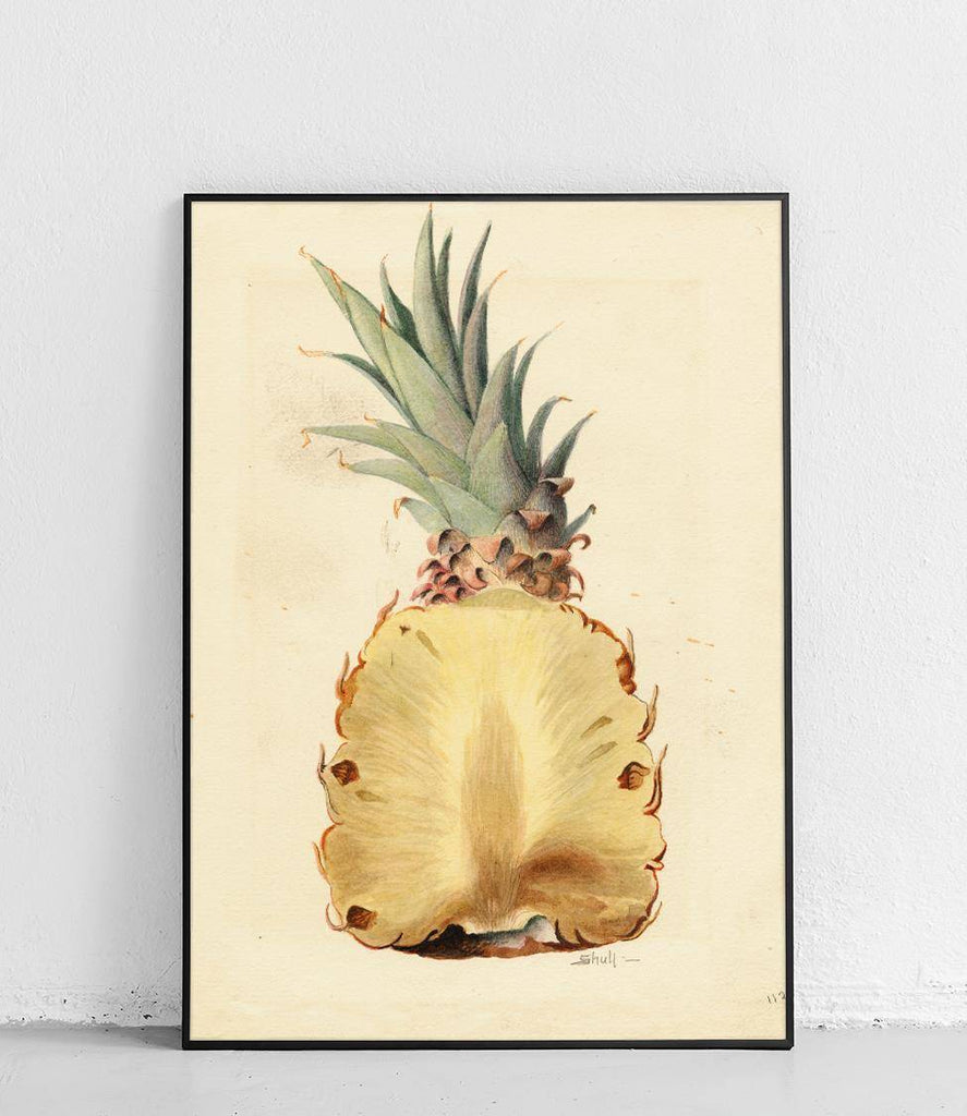 Pineapple - poster