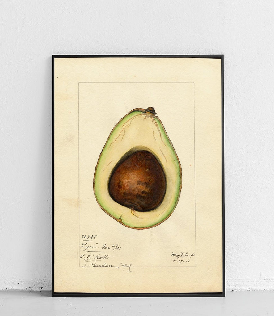 Avocado 3 - poster