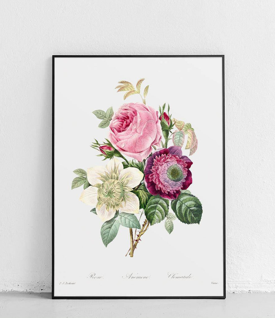 Anemones and centifolia rose - poster