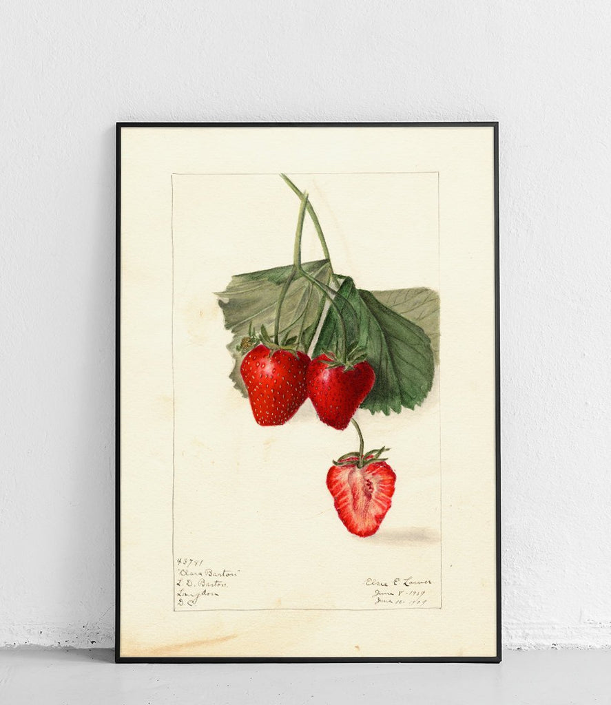 Strawberry 5 - poster