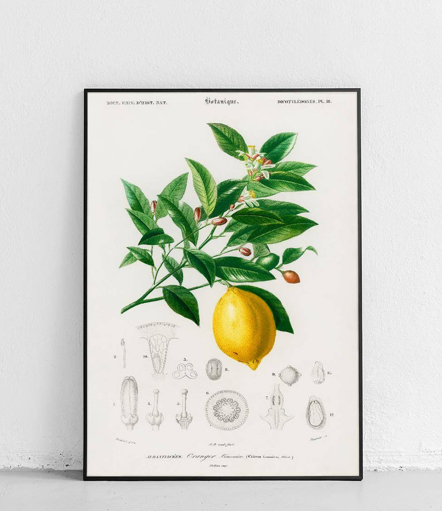 Lemon - poster