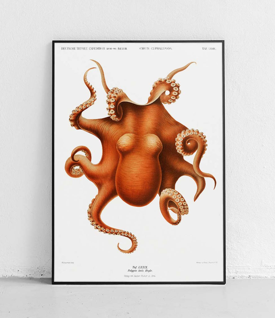 Octopus 2 - poster