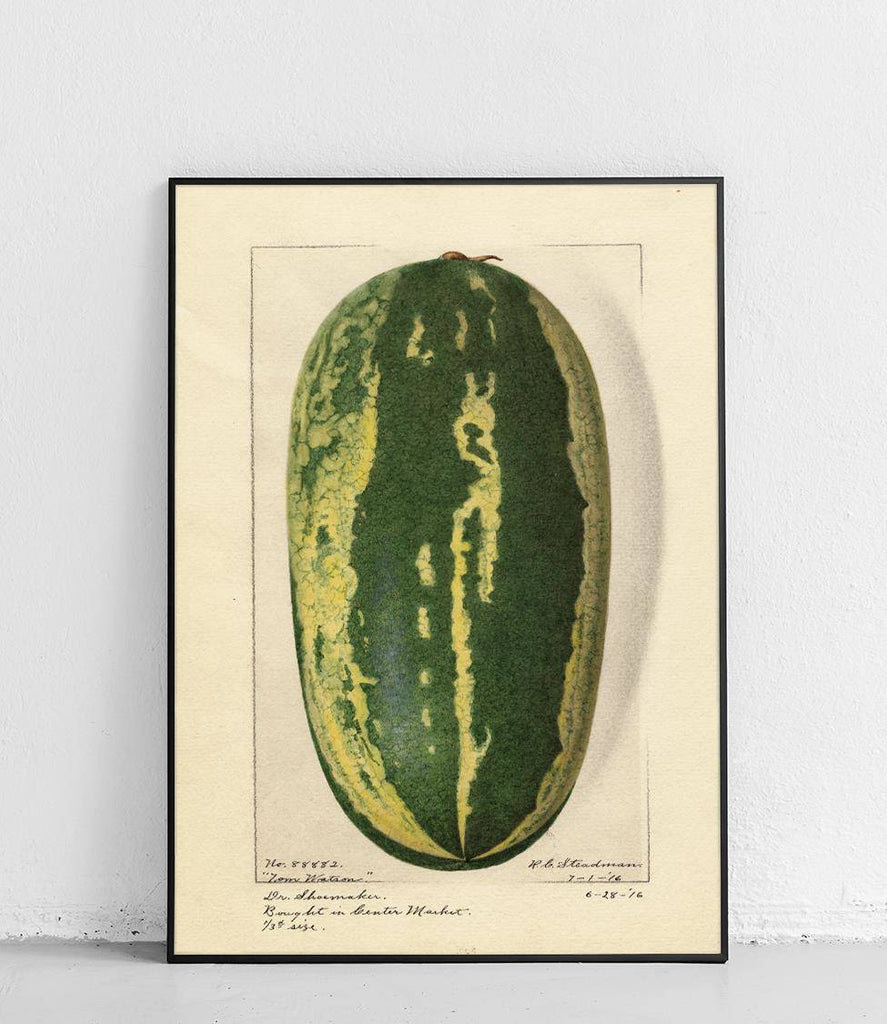 Watermelon - poster