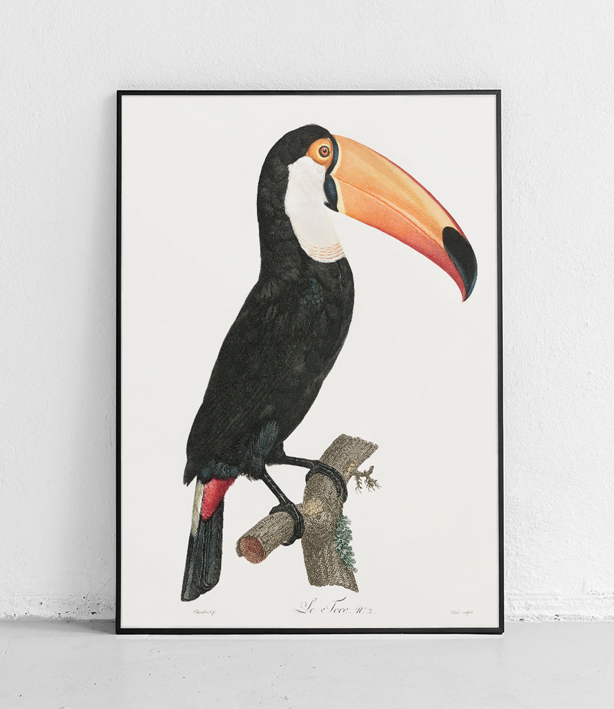 Great Toucan - poster