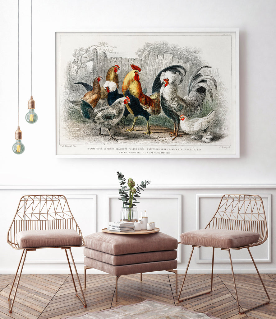 Hens and Rooster - poster