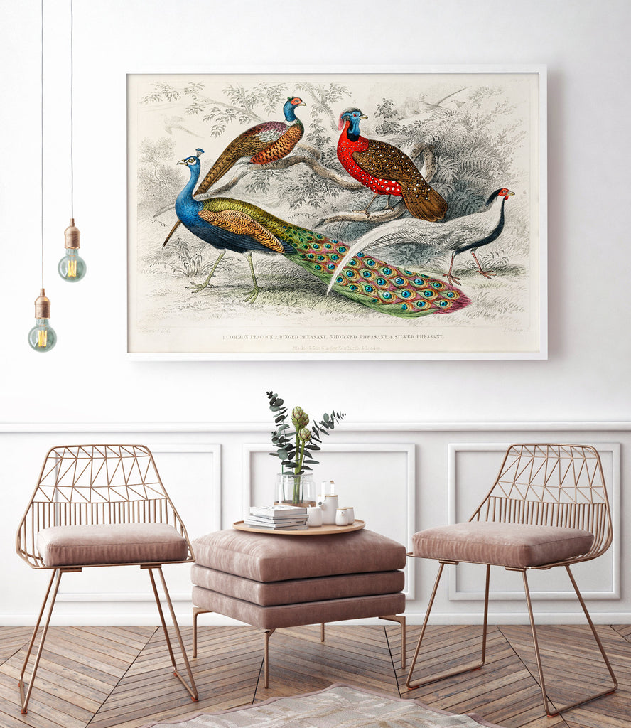Peacock Pheasants - poster