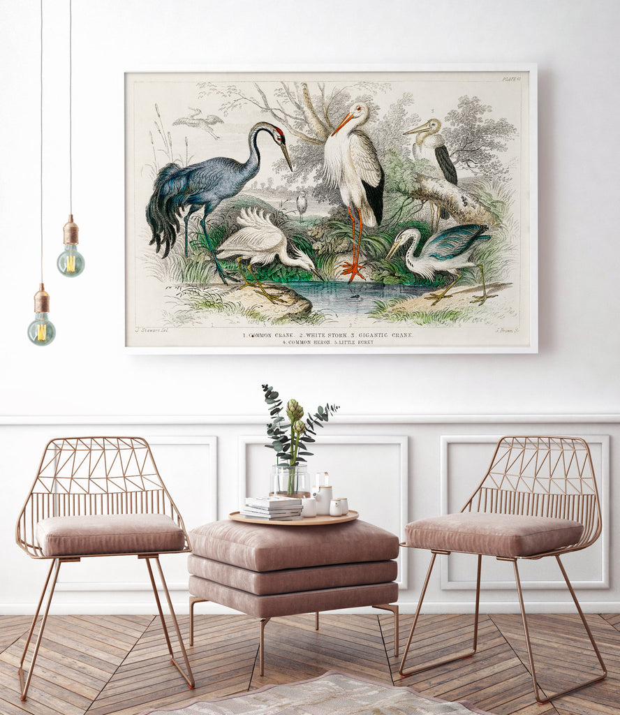 Crane Stork and Herons - poster