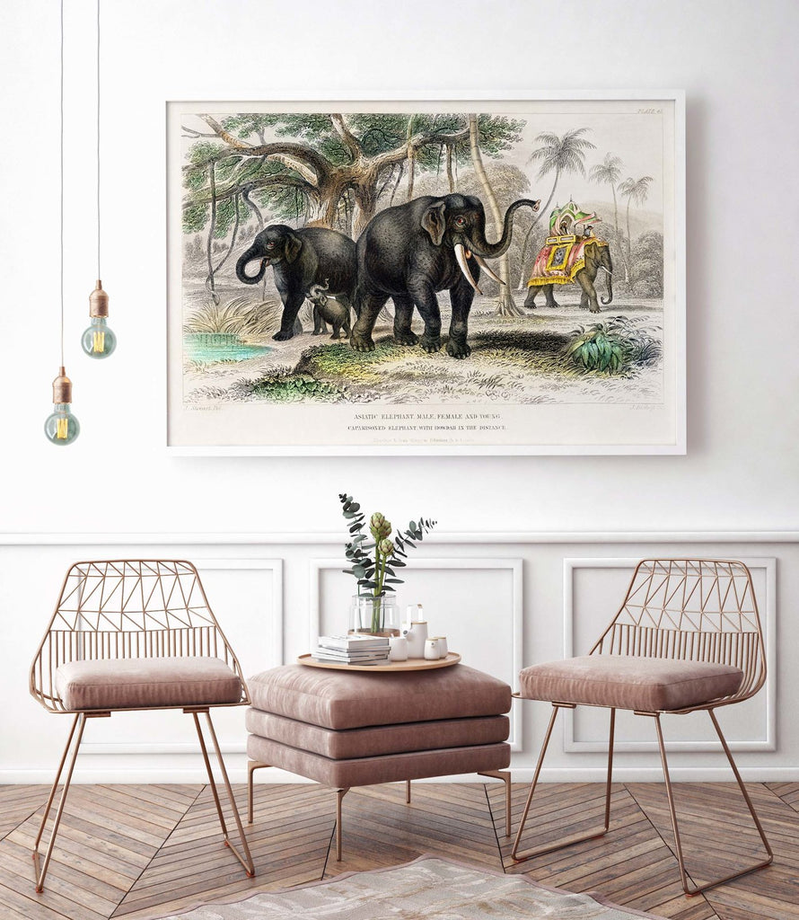 Elephants - poster