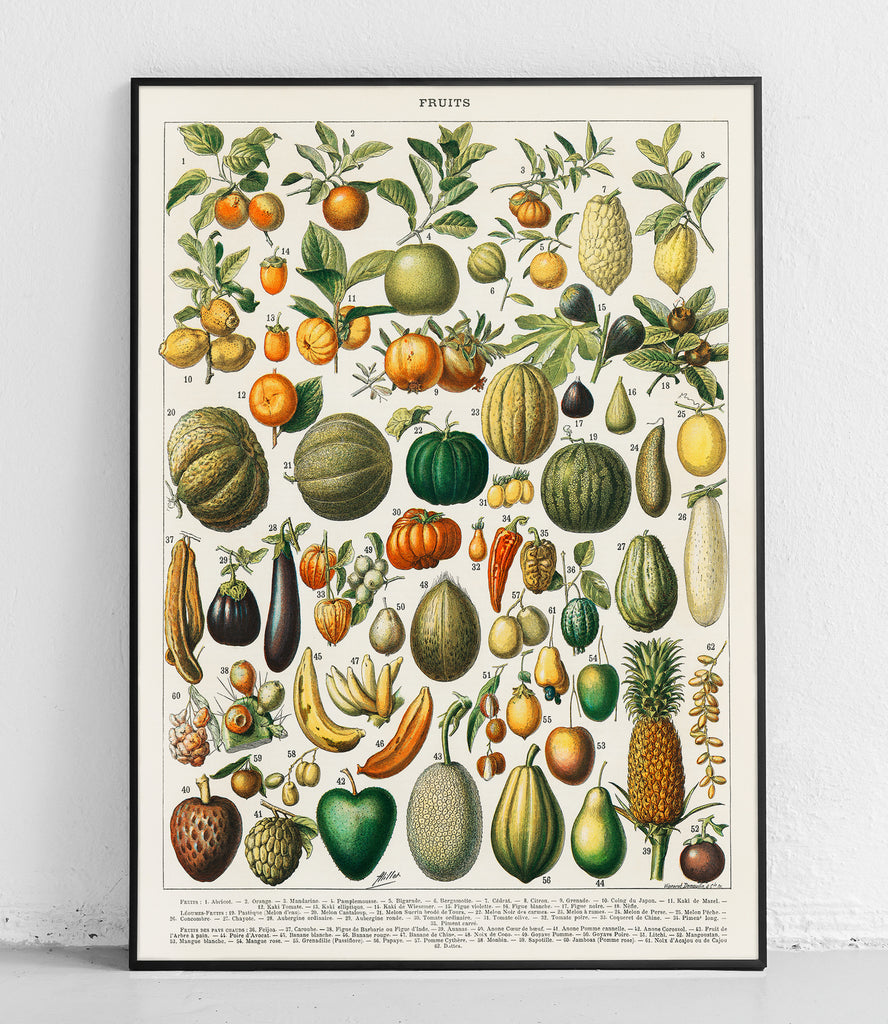 Fruits and vegetables - poster