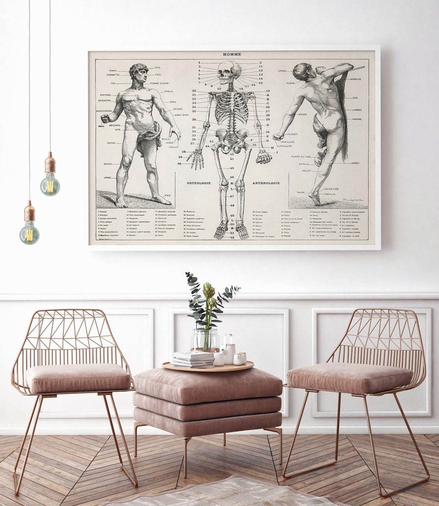The human body - poster