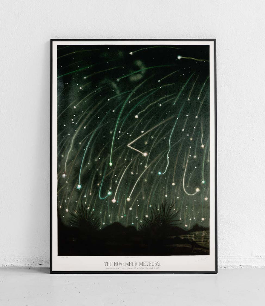 The November meteors - poster