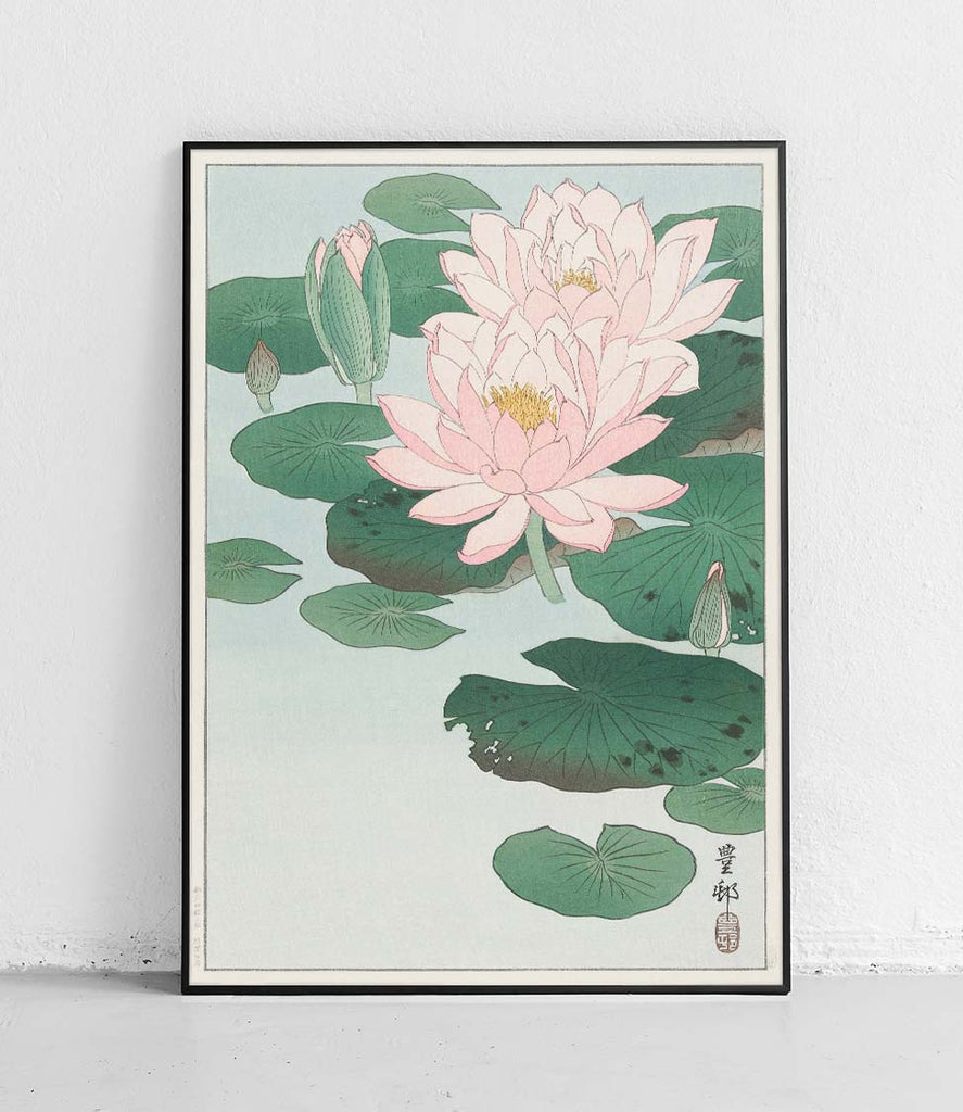 Water lily - poster