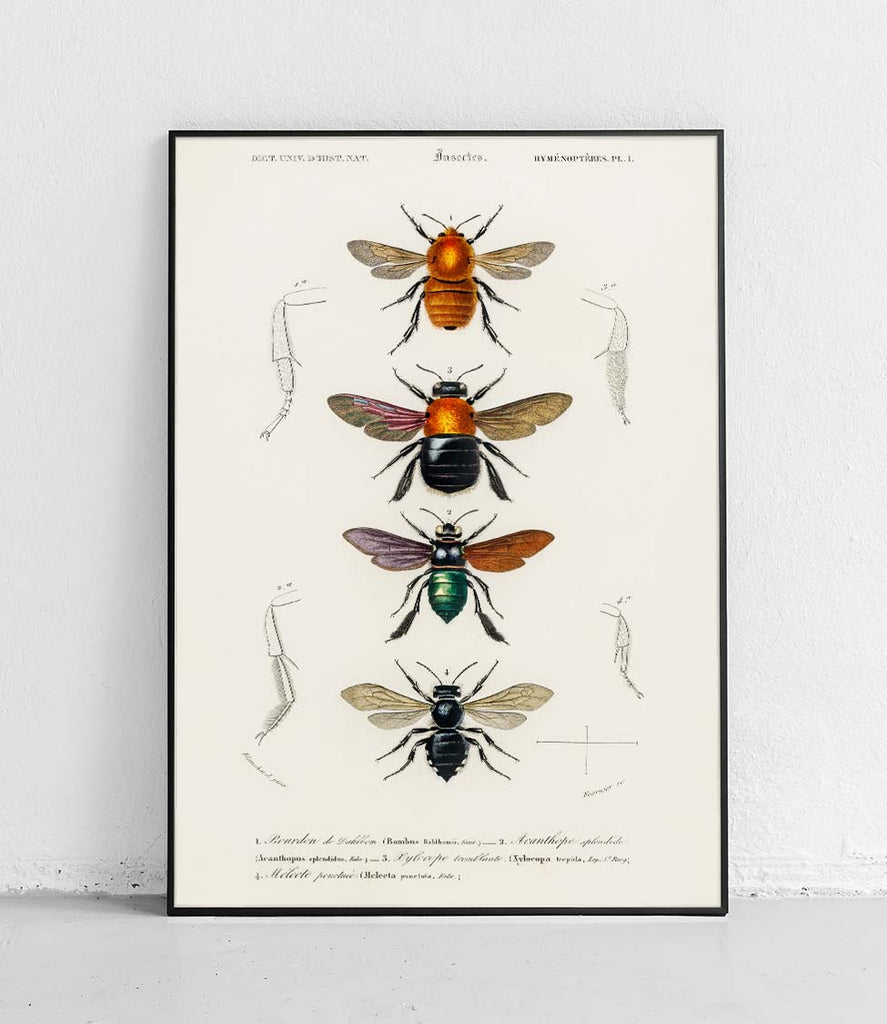 Bees - poster