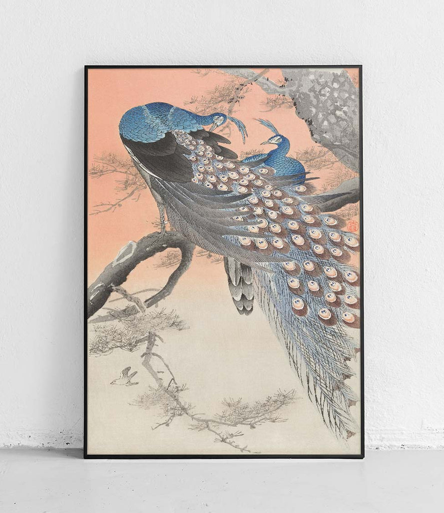 Two peacocks on tree branch - poster