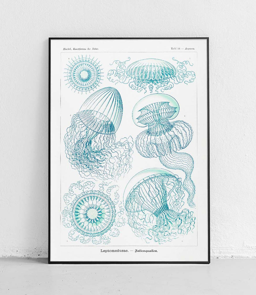 Crystal jellyfish - poster