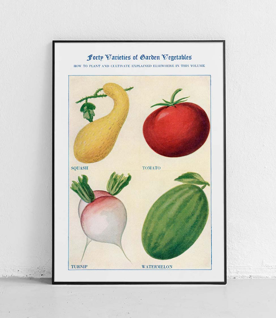 Parsnip tomato turnip watermelon - poster