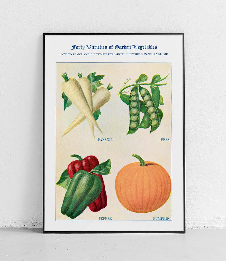 Parsnip peas pepper pumpkin - poster