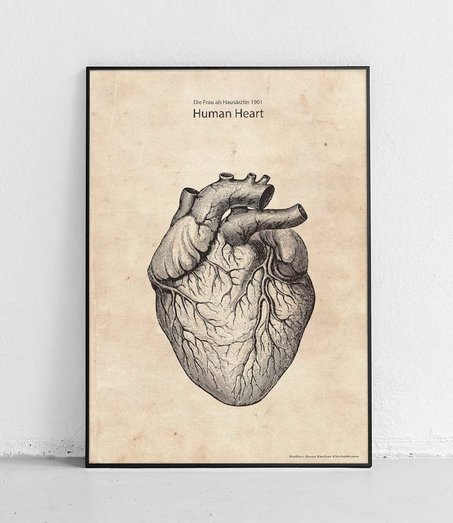 Human heart - poster
